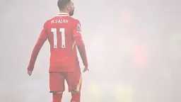 هل اقترب موعد التجديد؟.. رسالة...